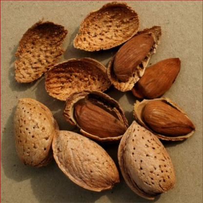 mandorle