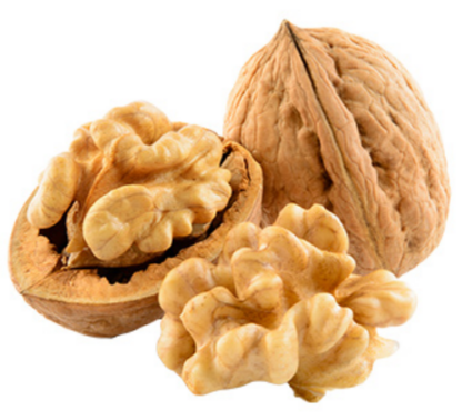 noci
