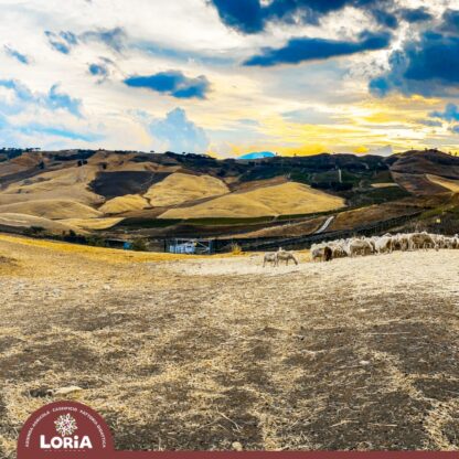  Itinerario - La Via dei Formaggi e dei Grani Antichi - immagine 8